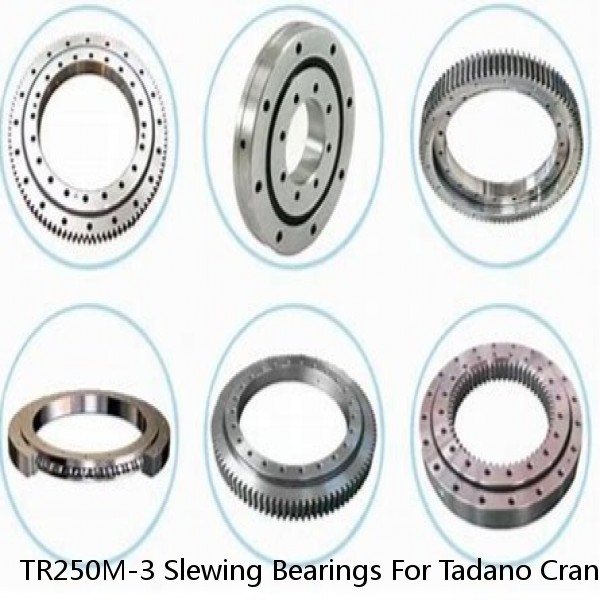 TR250M-3 Slewing Bearings For Tadano Cranes
