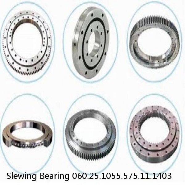 Slewing Bearing 060.25.1055.575.11.1403