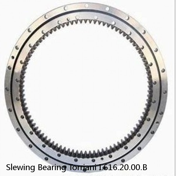 Slewing Bearing Torriani I.616.20.00.B