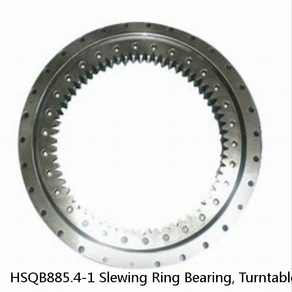 HSQB885.4-1 Slewing Ring Bearing, Turntable Bearing