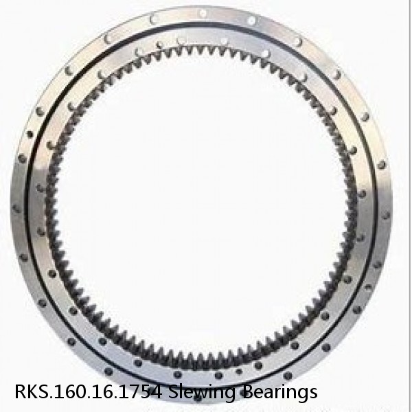 RKS.160.16.1754 Slewing Bearings