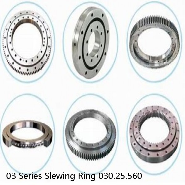03 Series Slewing Ring 030.25.560