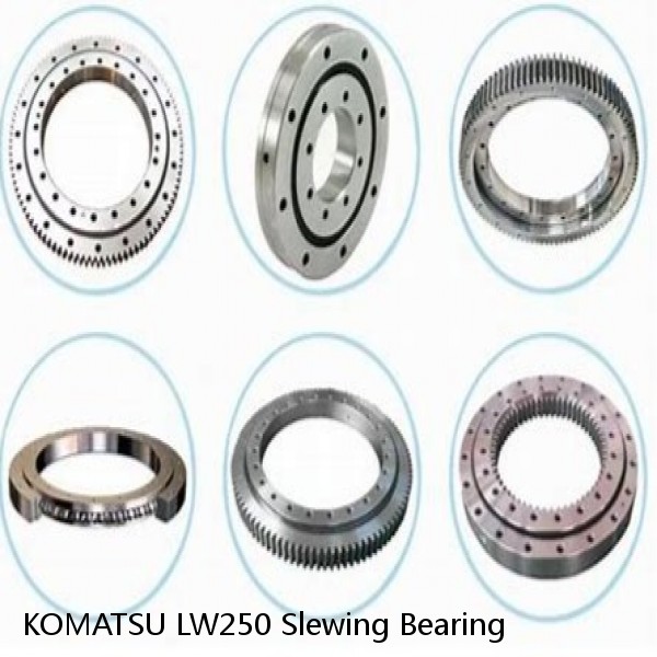 KOMATSU LW250 Slewing Bearing