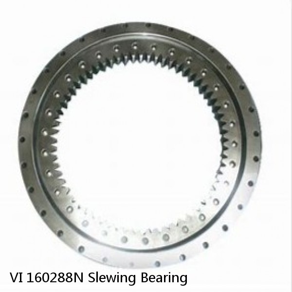 VI 160288N Slewing Bearing