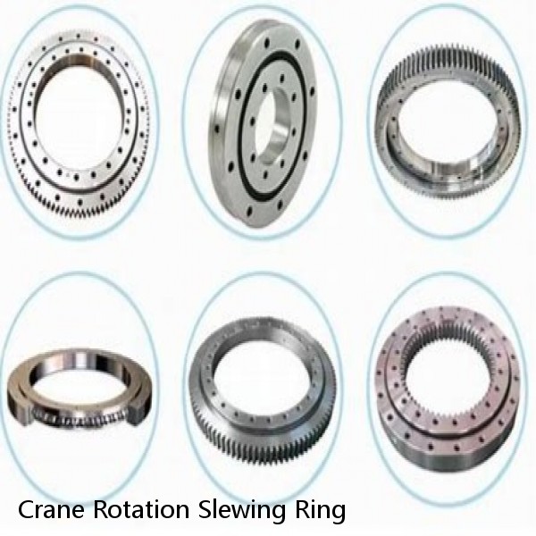 Crane Rotation Slewing Ring