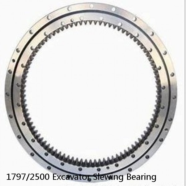 1797/2500 Excavator Slewing Bearing