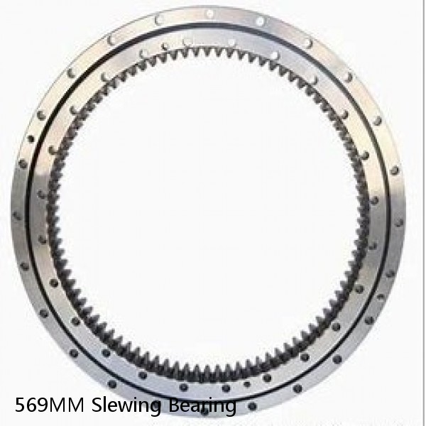 569MM Slewing Bearing