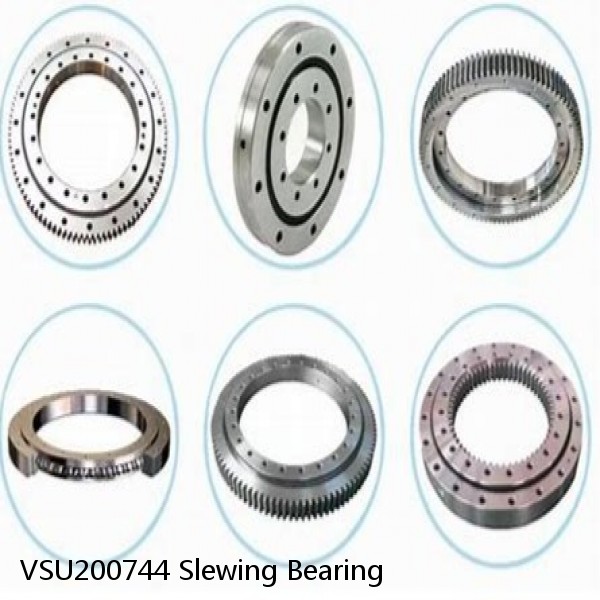 VSU200744 Slewing Bearing