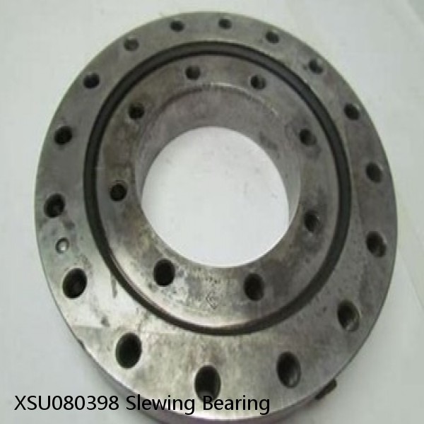 XSU080398 Slewing Bearing