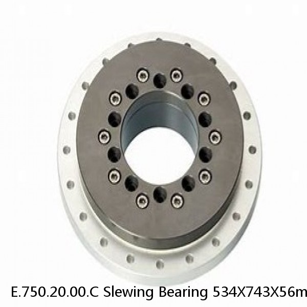 E.750.20.00.C Slewing Bearing 534X743X56mm