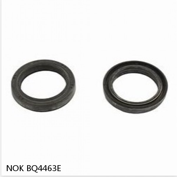 BQ4463E NOK MECHANICAL SEAL