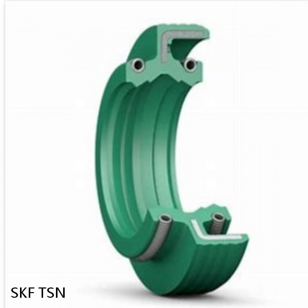 TSN SKF SEAL