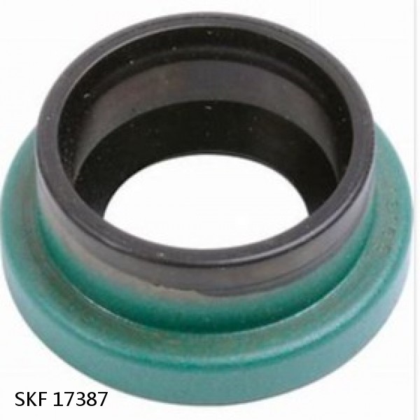 17387 SKF DOUBLE LIP OIL SEAL SKF