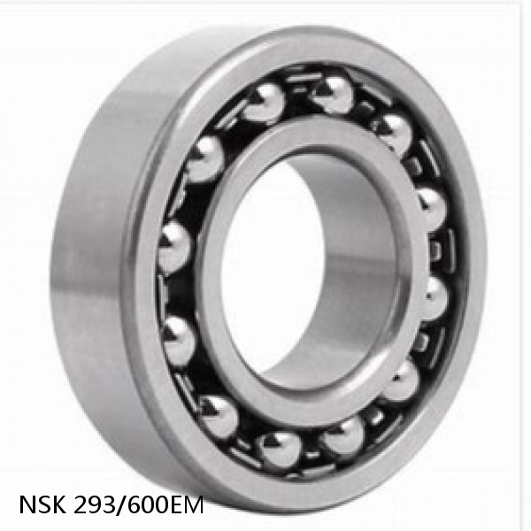 293/600EM NSK Double Row Double Row Bearings
