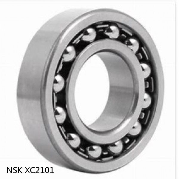 XC2101 NSK Double Row Double Row Bearings