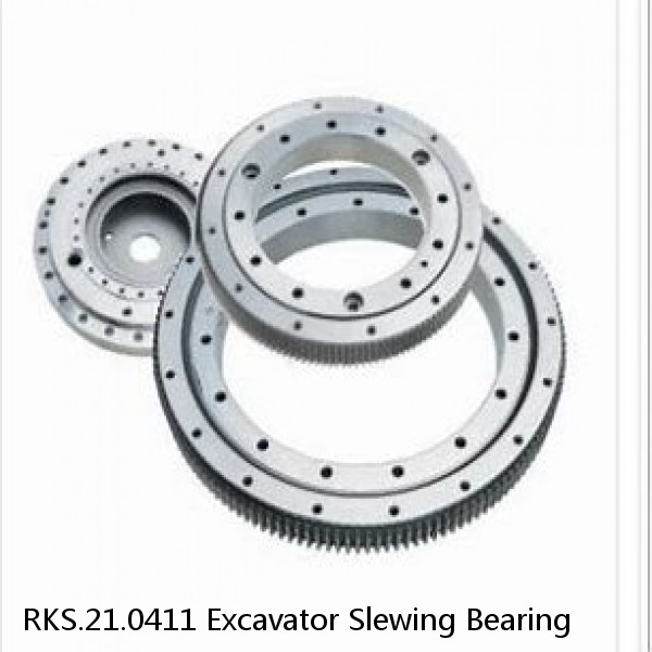RKS.21.0411 Excavator Slewing Bearing