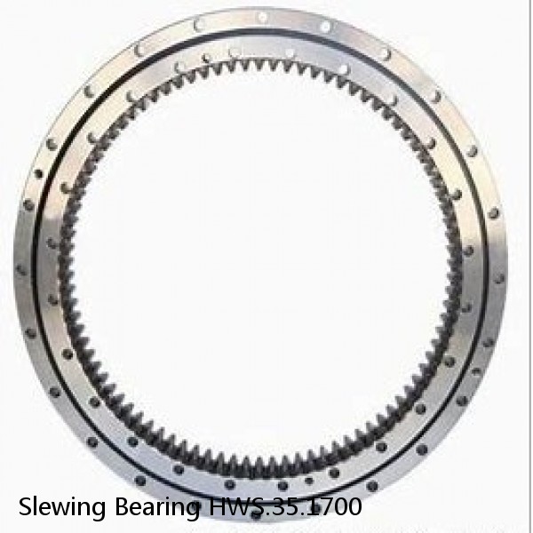 Slewing Bearing HWS.35.1700