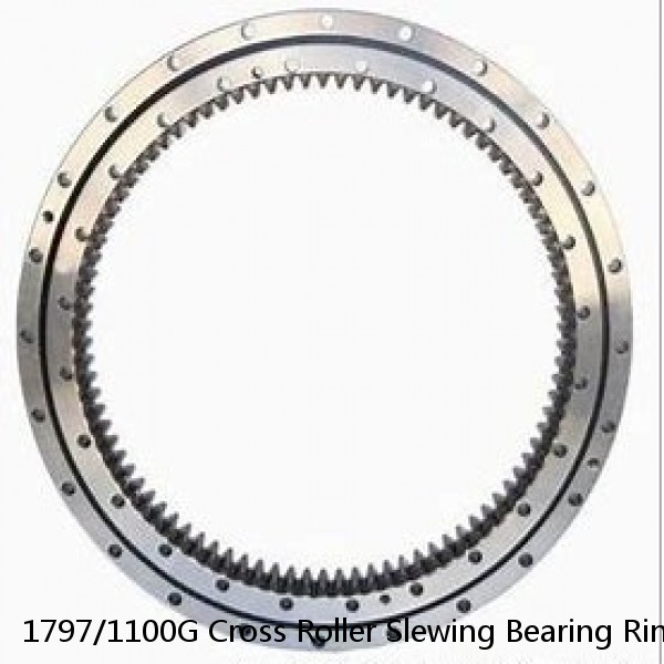 1797/1100G Cross Roller Slewing Bearing Ring