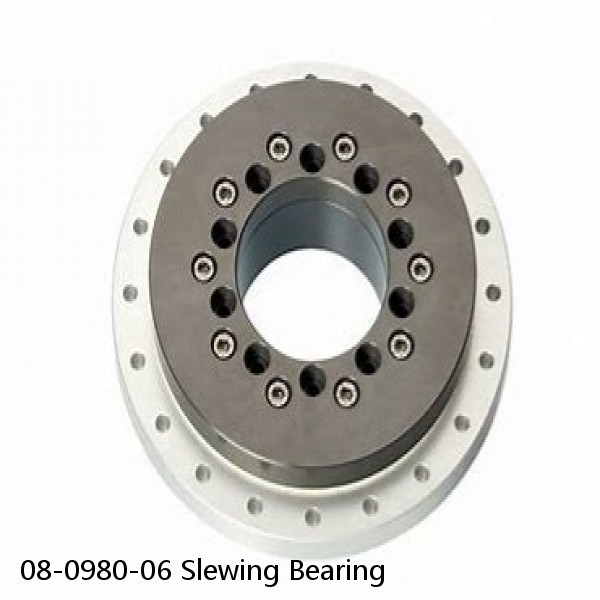 08-0980-06 Slewing Bearing